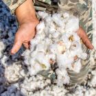 Retail mall and shop apparel section