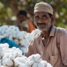 Retail mall and shop apparel section